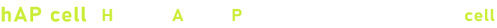 hAP cell : Holding Active Pharmaceutical ingredient cell