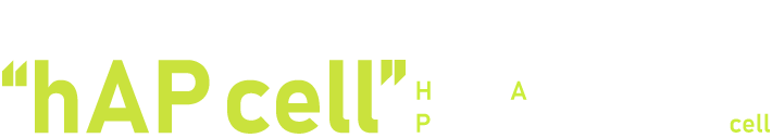 Next generation of the regenerative medicine, “hAP cell”