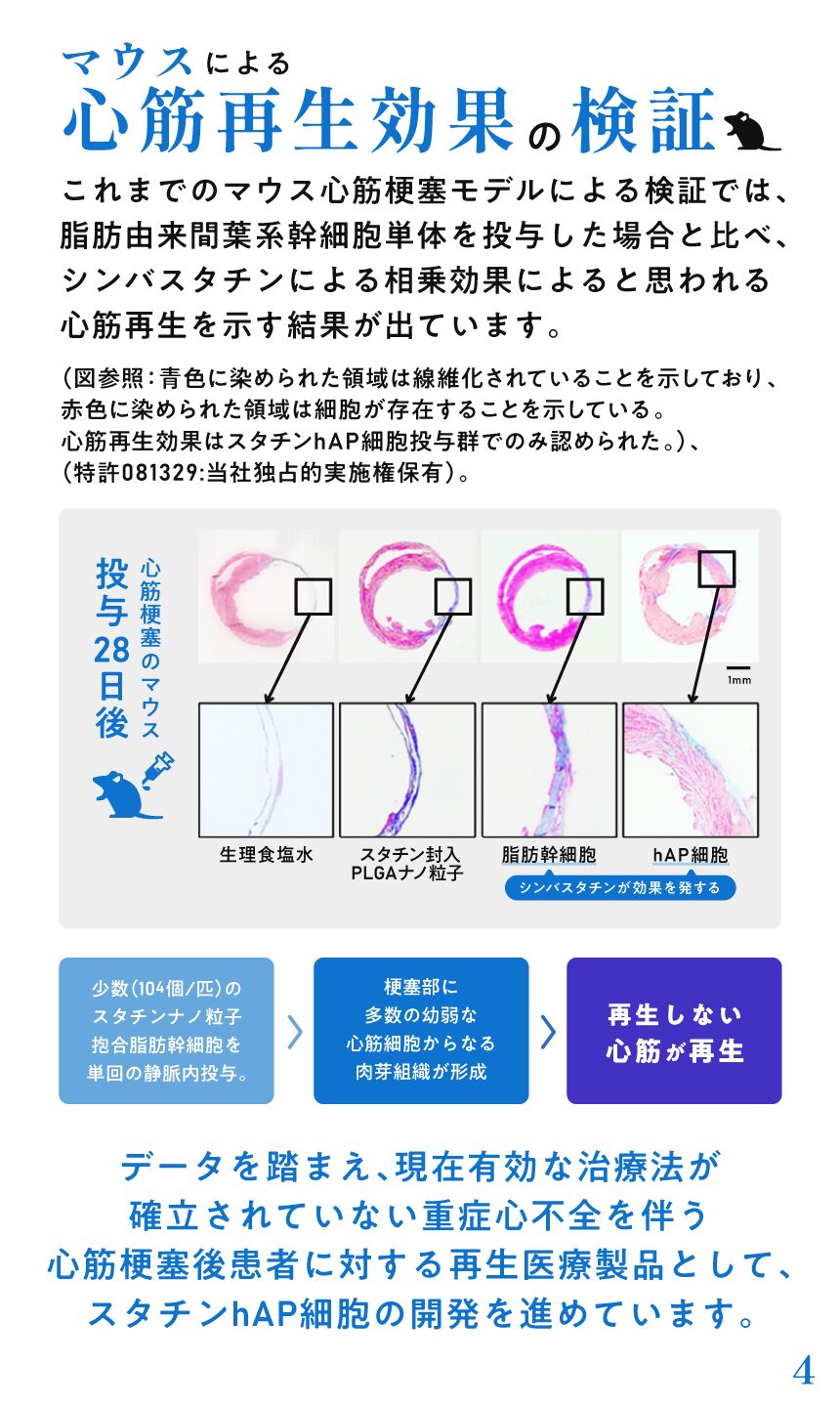 Amazon.com: 神経,免疫系の相互調節 (免疫学ハイライト